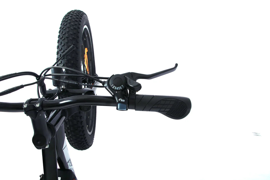 ONESPORT OT15 – Lightweight E-bike with Removable Battery and Sporty Look